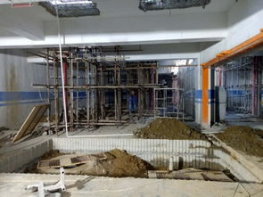 建筑材料的演進與未來展望